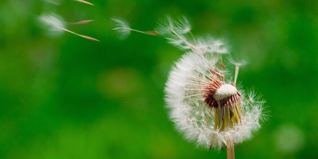 Êtes-vous optimiste? Trois moyens de le devenir davantage optimiste